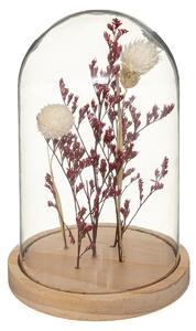 Sušené květy pod skleněnou kopulí FLOWER BELL, výška 17 cm Barva: Fialová
