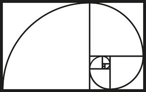 Wallity Nástěnná kovová dekorace GOLDEN RATIO černá