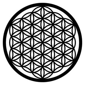 Wallity Nástěnná kovová dekorace FLOWER OF LIFE černá