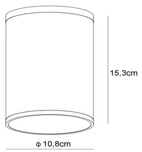 Lucide 27870/01/31 - Koupelnové stropní svítidlo TUBIX 1xE27/24W/230V IP54