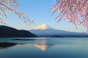 Fototapeta výhled z jezera na Fuji