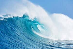 Fototapeta mořská vlna