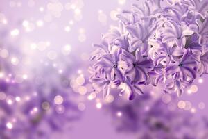 Tapeta fialový květ šeříku