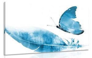 Obraz pírko s motýlem v modrém provedení - 90x60 cm