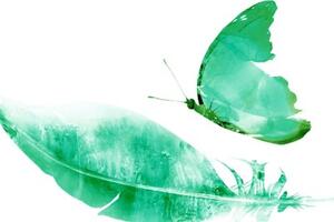 Obraz pírko s motýlem v zeleném provedení - 60x40 cm