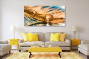 Obraz kapka vody na zlatém pírku - 100x50 cm