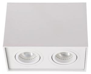 Lucide 22953/02/31 - Bodové svítidlo TUBE 2xGU10/50W/230V bílá
