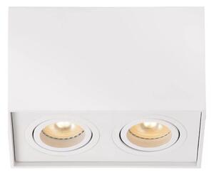 Lucide 22953/02/31 - Bodové svítidlo TUBE 2xGU10/50W/230V bílá