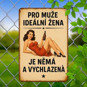 BAF 2D Plechov� cedule Ide�ln� man�elka 30 x 20 cm