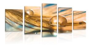 5-dílný obraz kapka vody na zlatém pírku - 100x50 cm