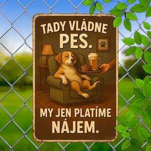 BAF 2D Plechov� cedule Ps� �zem� 30x20 cm