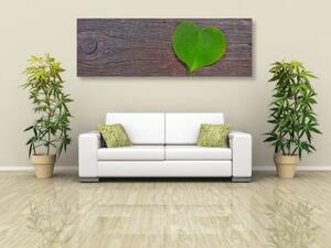 Obraz list ve tvaru srdce na dřevěném podkladu - 120x40 cm