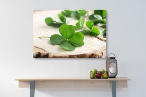 Obraz zelené čtyřlístky - 60x40 cm