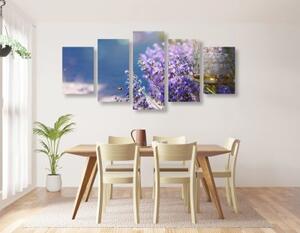 5-dílný obraz levandulová zahrada - 100x50 cm