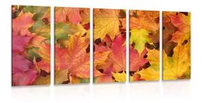 5-dílný obraz listy podzimu - 100x50 cm