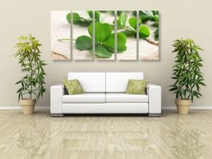 5-dílný obraz zelené čtyřlístky - 100x50 cm