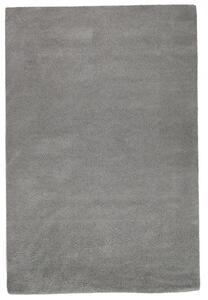 Hans Home | Kusový koberec Softissimo silver