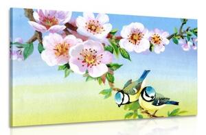 Obraz sýkorky a kvetoucí květiny - 60x40 cm