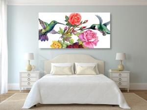 Obraz kolibříci s květinami - 100x50 cm