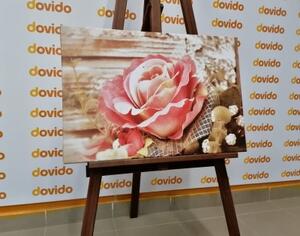 Obraz růžová vintage růže - 60x40 cm