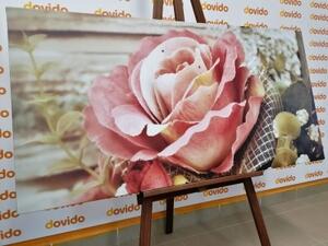 Obraz elegantní vintage růže - 100x50 cm