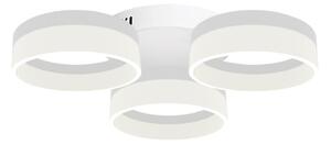 LED Stropní svítidlo RING 3xLED/12W/230V bílé