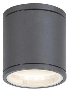 Rabalux 8150 - Venkovní stropní svítidlo AKRON 1xGU10/35W/230V IP54