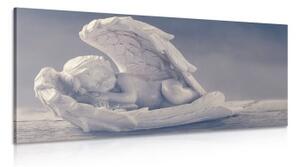 Obraz spící andílek - 100x50 cm