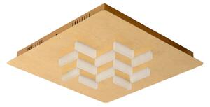 Lucide 26185/36/10 - LED Stropní svítidlo ANISTO LED/30W/230V
