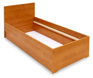 Úložný prostor pod postel - pevný Varianta: Šířka 120 cm, Varianta barvy: Buk
