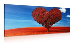 Obraz nádherný strom ve tvaru srdce - 100x50 cm