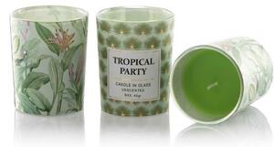 DekorStyle Sada svíček Tropical Party zelená