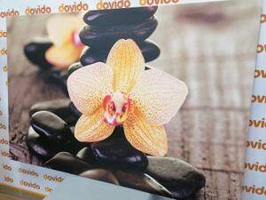 Obraz žlutá orchidej a Zen kameny - 120x80 cm