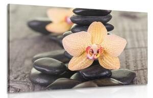 Obraz žlutá orchidej a Zen kameny - 120x80 cm