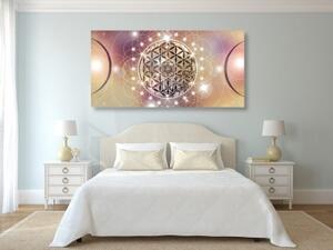 Obraz okouzlující Mandala - 100x50 cm