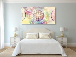 Obraz Mandala v zajímavém provedení - 100x50 cm