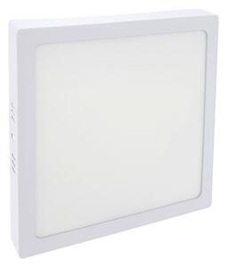 LED Stropní svítidlo LED/18W/230V 2700K 21x21 cm bílá