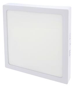 LED Stropní svítidlo LED/18W/230V 2700K 21x21 cm bílá
