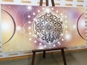 Obraz okouzlující Mandala - 100x50 cm