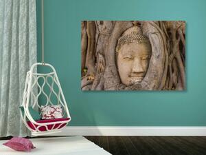 Obraz Budhů posvátný fíkovník - 60x40 cm