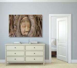 Obraz Budhů posvátný fíkovník - 60x40 cm