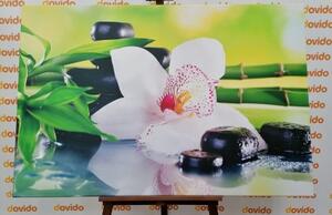 Obraz japonská orchidej - 60x40 cm