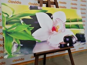 Obraz orchidej s japonskou tématikou - 100x50 cm