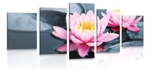 5-dílný obraz lotosový květ v jezeře - 100x50 cm