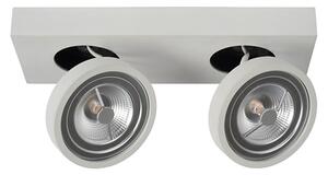 Lucide 09920/20/31 - LED Stmívatelné bodové svítidlo NENAD AR111 2xG53/10W/230V