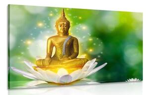 Obraz zlatý Budha na lotosovém květu - 60x40 cm