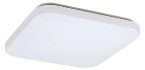 Rabalux 3344 - LED Stropní svítidlo ROB LED/32W/230V