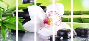 5-dílný obraz japonská orchidej - 100x50 cm