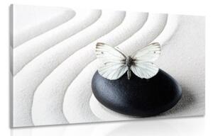 Obraz bílý motýl na černém kameni - 90x60 cm