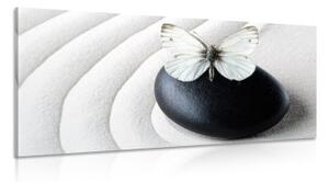 Obraz Zen kámen s motýlem - 120x60 cm
